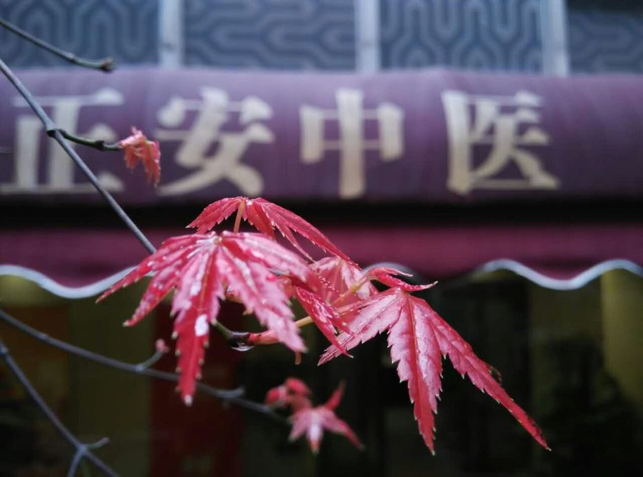 正安中医成都店